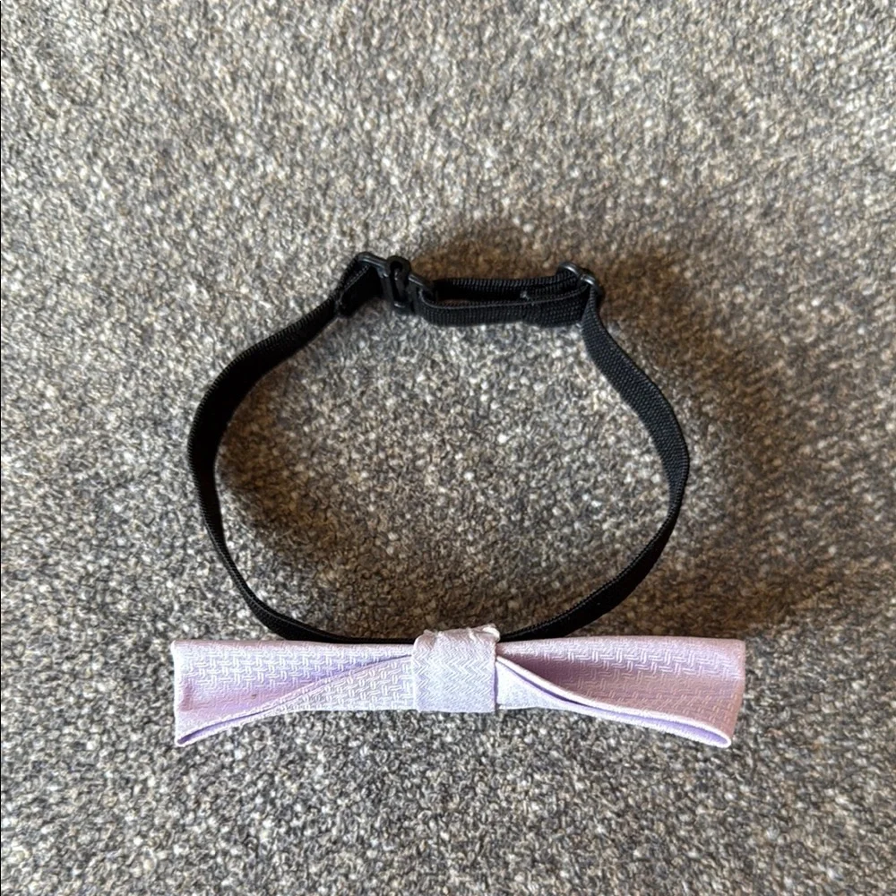 Elegant Lavender Bow Tie
